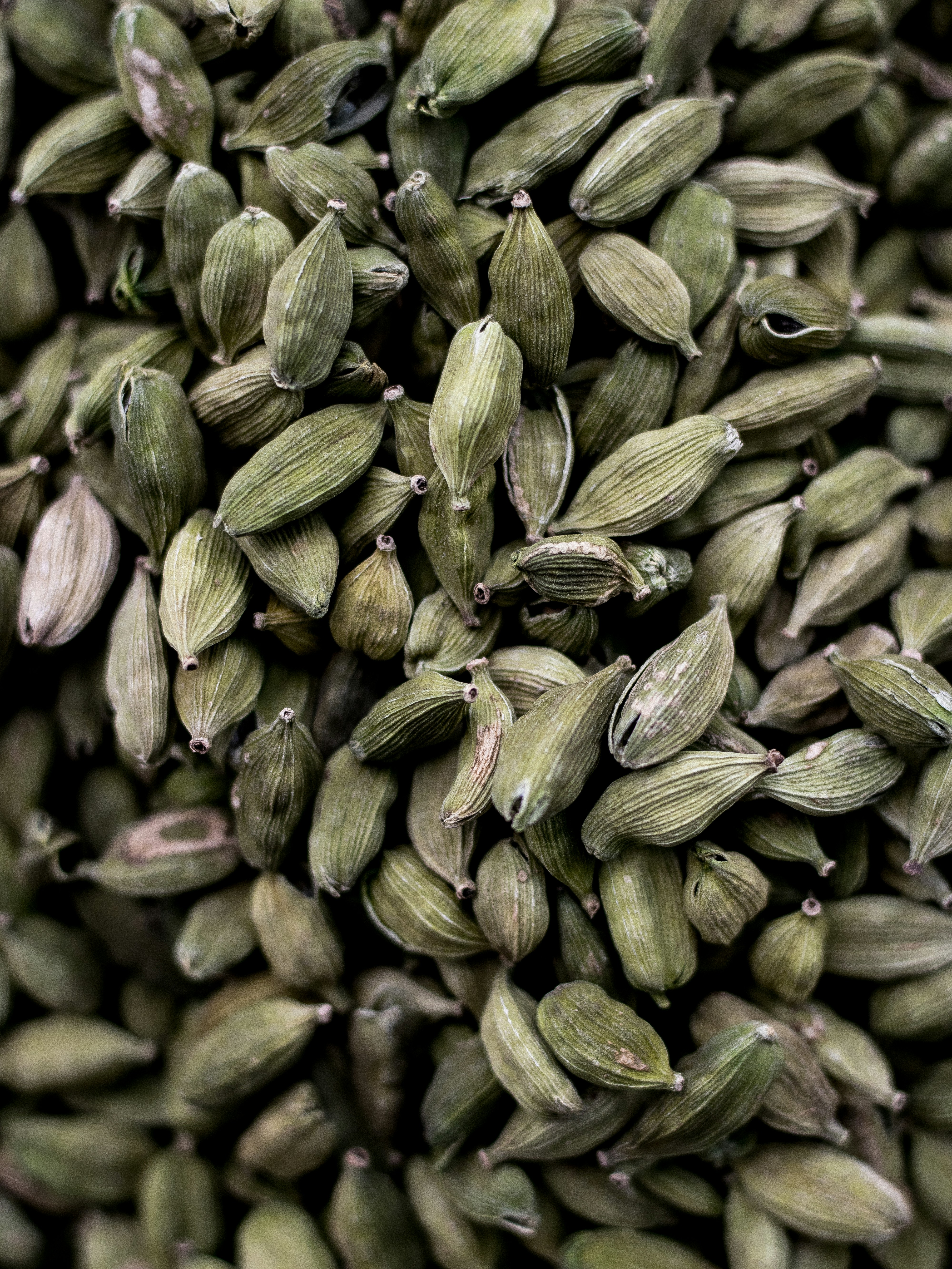 Cardamom (Elettaria cardamomum)