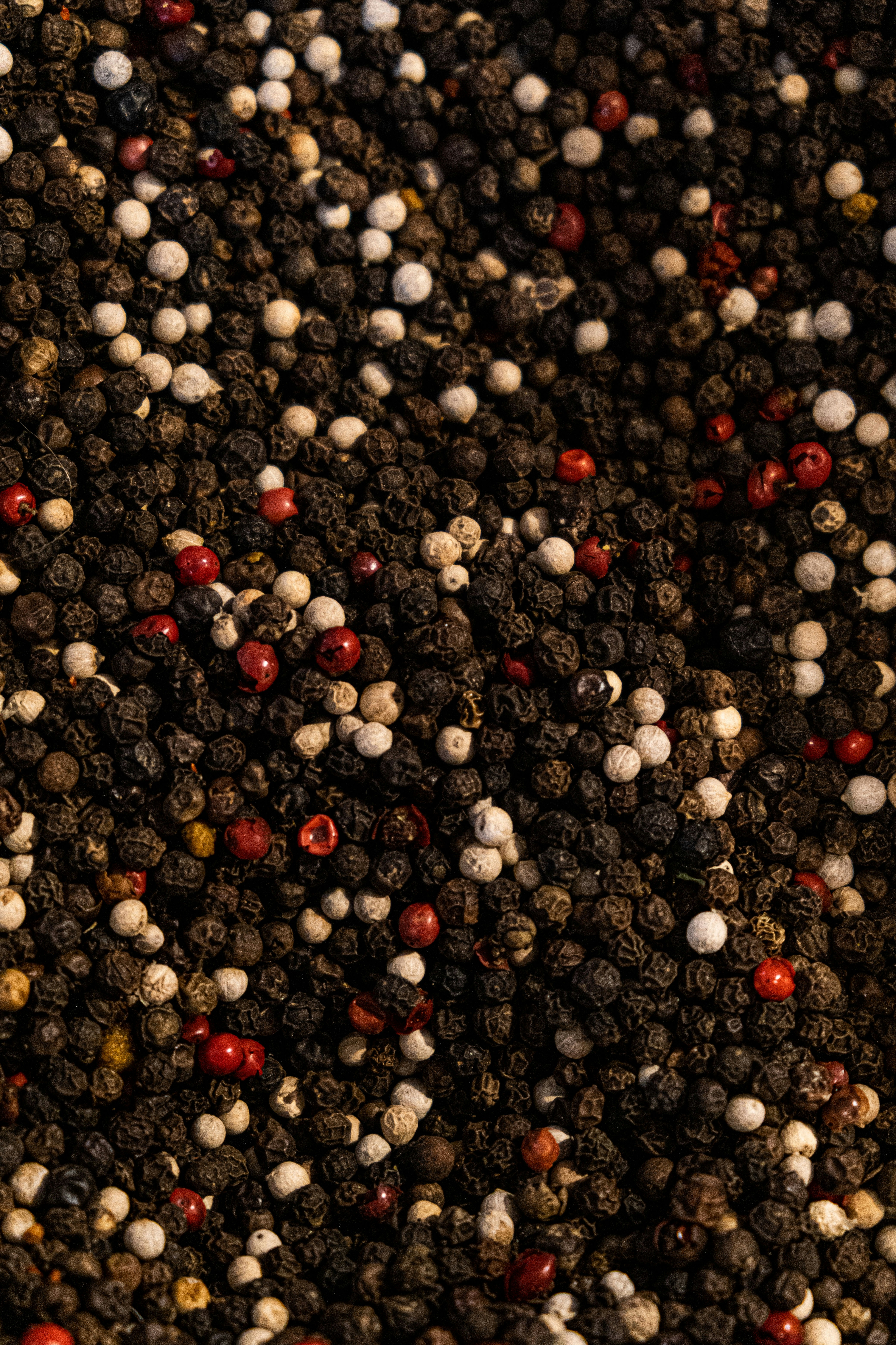 Black Pepper (Piper nigrum)